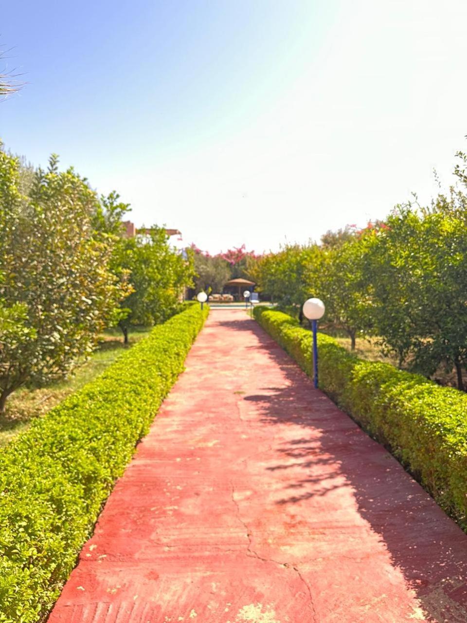 Villa Ms Holidays Mika Privatisee Marrakech Μαρακές Εξωτερικό φωτογραφία