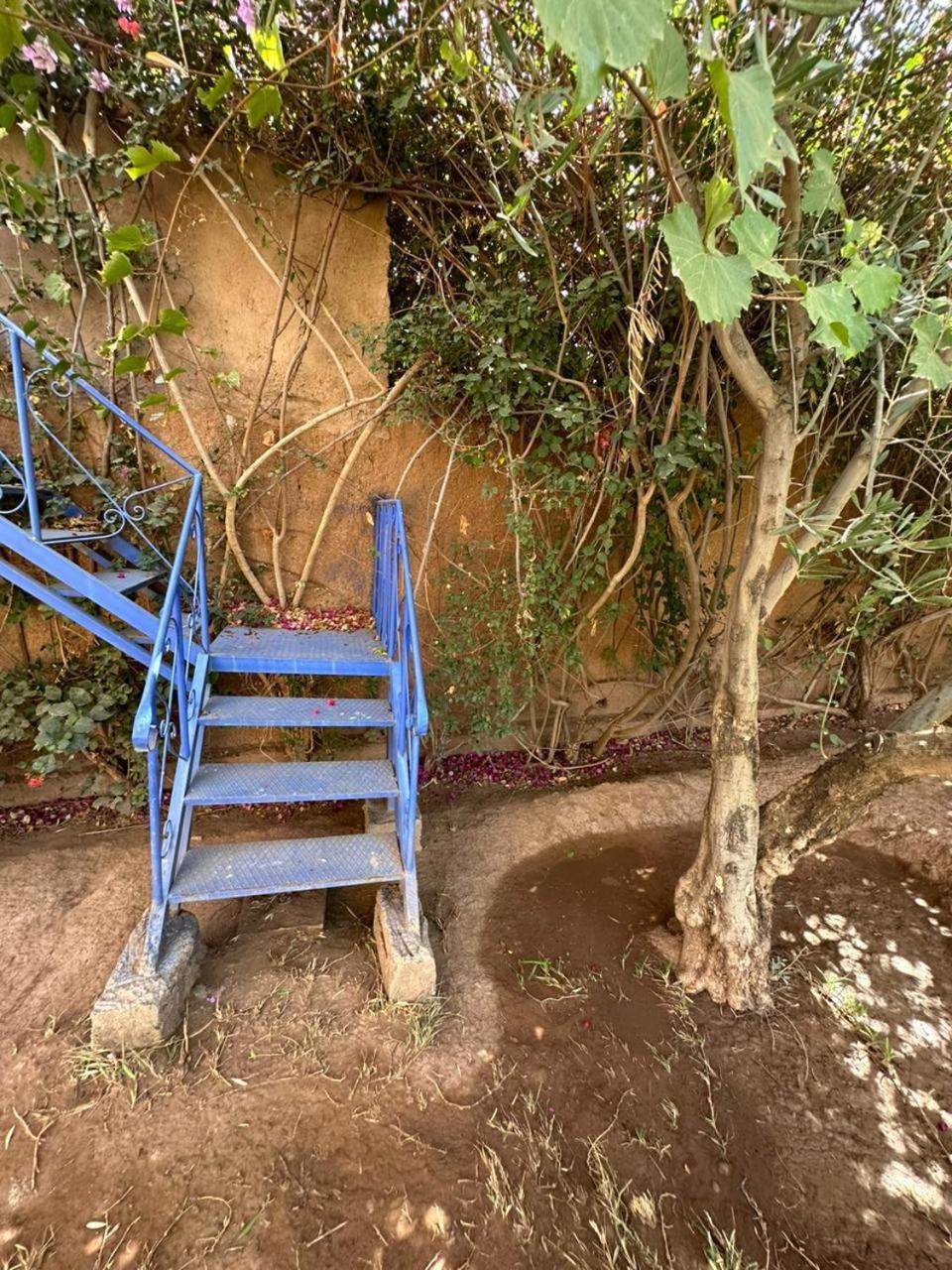 Villa Ms Holidays Mika Privatisee Marrakech Μαρακές Εξωτερικό φωτογραφία