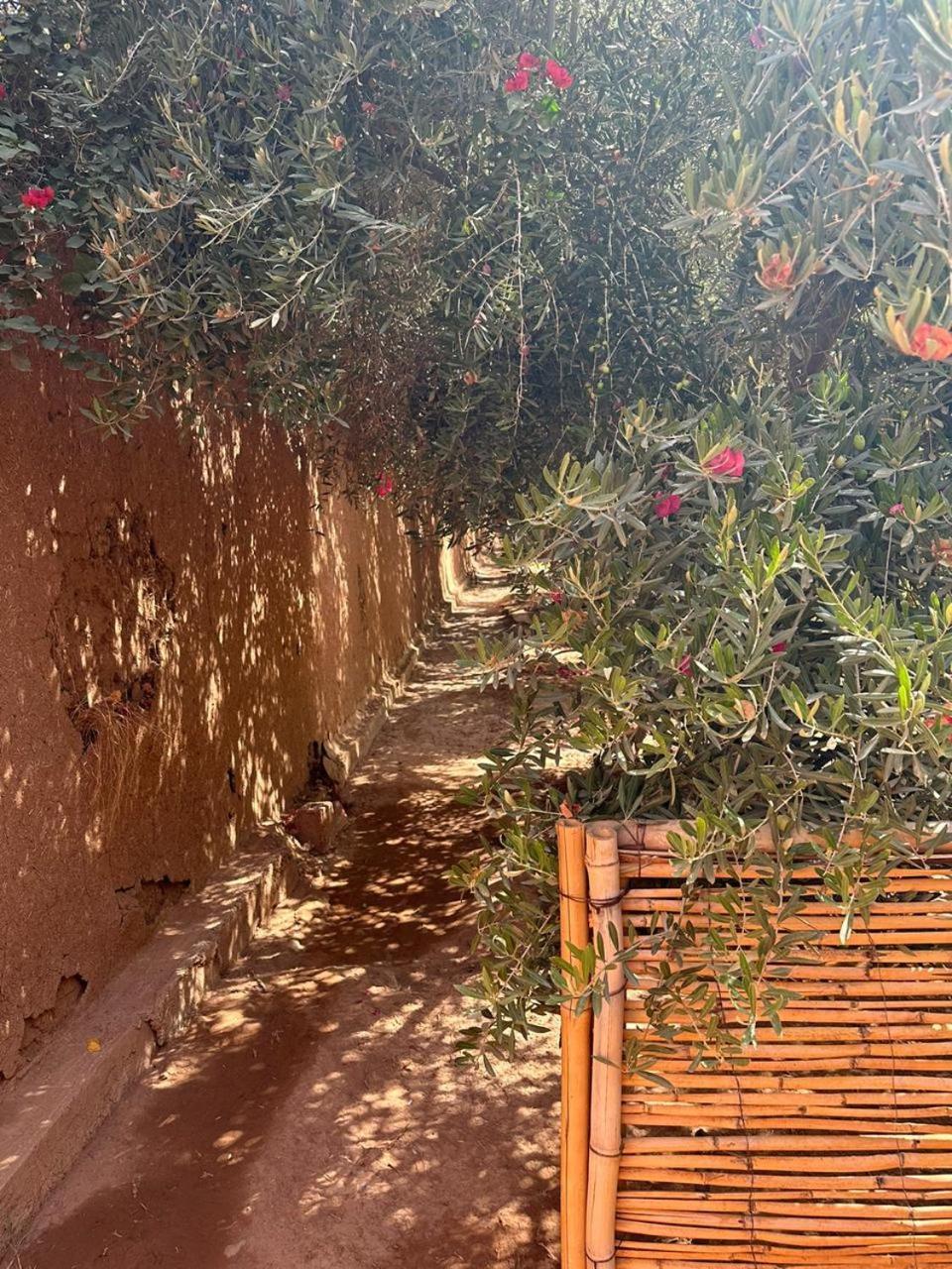 Villa Ms Holidays Mika Privatisee Marrakech Μαρακές Εξωτερικό φωτογραφία