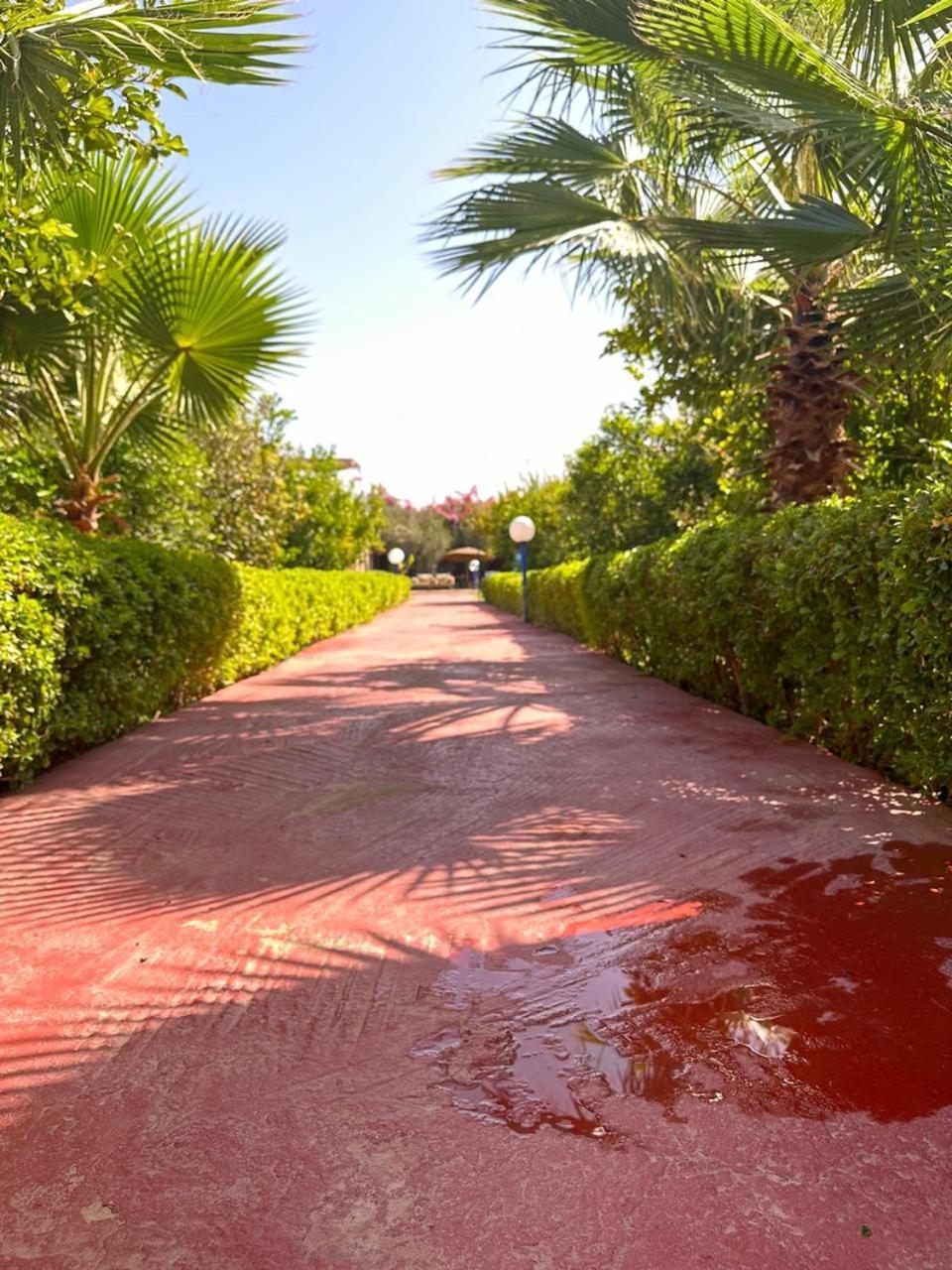 Villa Ms Holidays Mika Privatisee Marrakech Μαρακές Εξωτερικό φωτογραφία